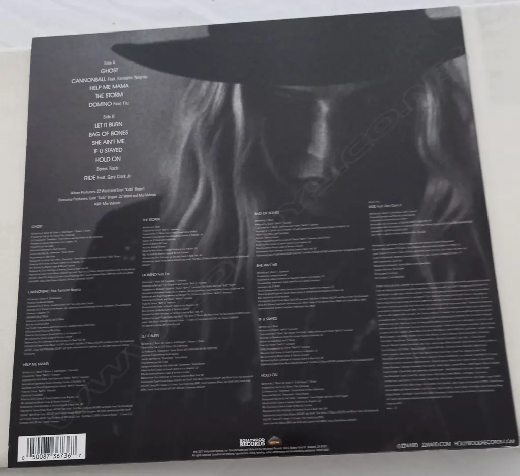 ZZ Ward, The Storm Image 1++